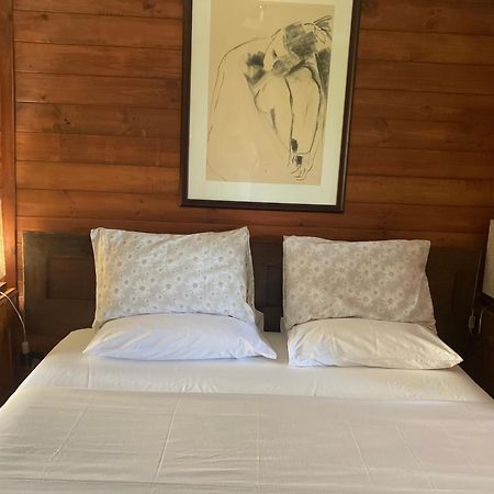 Potters Cottage Bellingen Esterno foto