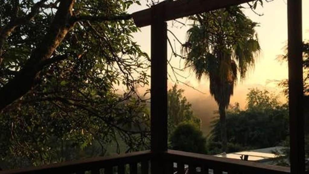 Potters Cottage Bellingen Esterno foto