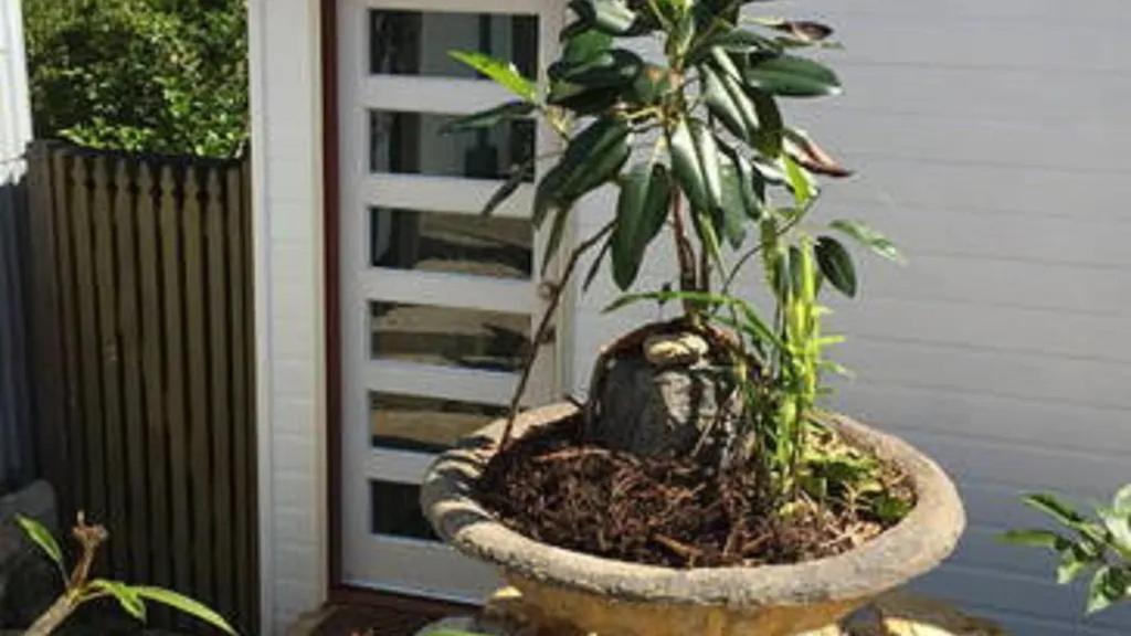 Potters Cottage Bellingen Esterno foto